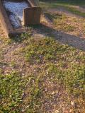 image of grave number 720359